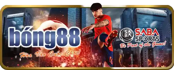 Cách chọn nền tảng cá cược uy tín